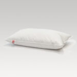 Image of DreamTicket Feather & Down Pillow - 1000g