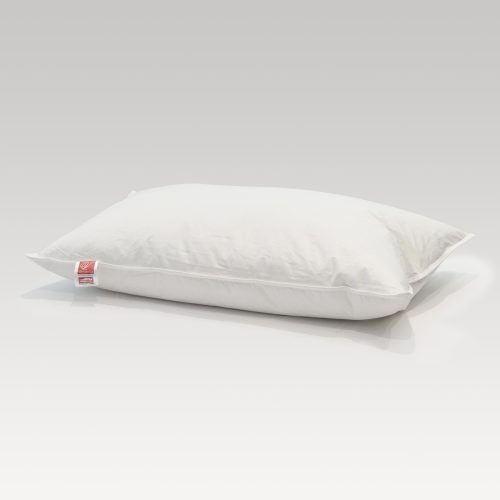DreamTicket Feather & Down Pillow - 1500g